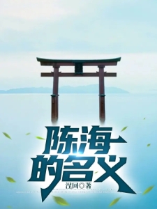 陈海的名义